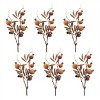 Fall Pomegranate Twig Spray (Set of 6) - 3 of 3