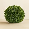 Boxwood Foliage Orb 13"D - 2 of 3