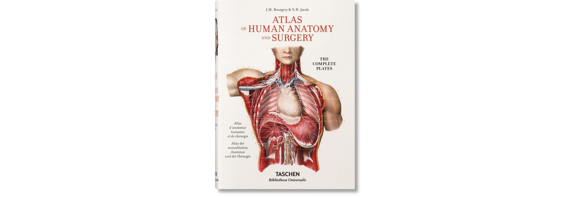 Bourgery. Atlas of Human Anatomy and Surgery - (Bibliotheca Universalis) by  Henri Sick & Jean-Marie Le Minor (Hardcover)