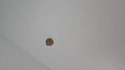 Guest review image 3 of 4, zoom in