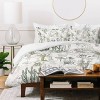 Deny Designs King Whimsical Cactus Landscape Comforter and Pillow Sham Set Brown: 300 Thread Count, Woven Polyester, Zippered - 3 of 4