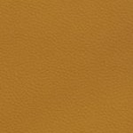 alabama crimson tide script a