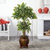 Nearly Natural 59-in Variegated Ficus Artificial Tree in Decorative Planter - 2 of 3