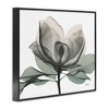 Stupell Industries White Magnolia Flower Green Silhouette Framed Giclee Art - 2 of 4
