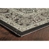 Rugs America Monaco Oriental Transitional Area Rug - 3 of 3
