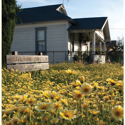 Fritz Haeg: Wildflowering L.A. - by  Samantha Frank & Maryam Hosseinzadeh (Paperback)