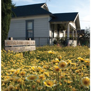 Fritz Haeg: Wildflowering L.A. - by  Samantha Frank & Maryam Hosseinzadeh (Paperback) - 1 of 1