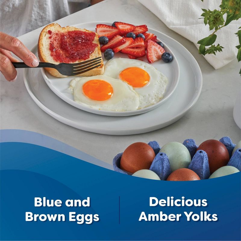 Happy Egg Co. Free Range Heritage Breed Brown and Blue Eggs - 28oz/12ct, 6 of 8