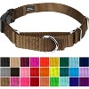 Country Brook Petz Heavy Duty Nylon Martingale Dog Collar with Deluxe Buckle - 30+ Vibrant Color Options - 2 of 4