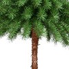 Puleo 6' Pre-Lit Artificial Palm Tree with Green and Clear Lights - 3 of 4