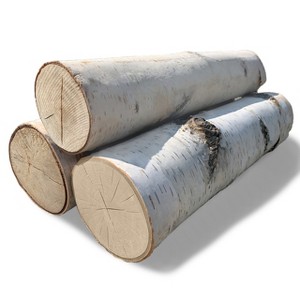 Wilson's Decorative White Birch Fireplace Sets - 1 of 1
