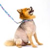 Country Brook Petz Martingale Collar and Leash - Country and Western Collection - 2 of 4