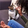Temptations Creepy Catnip Halloween Cat Treats - 3oz - 4 of 4