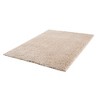 SKRAN 3'11"x5'11" Super Soft Carpet Shag Area Rug Non-Shedding & Easy Cleaning Transparent Sprayed Latex Reverse For Living Room, Dining Room, Beige - 4 of 4