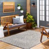 Mark & Day Keystone Woven Indoor and Outdoor Area Rugs - 2 of 4