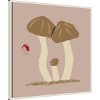 30"x30" Matsutake Mushroom Family by Vision Grasp Art Framed Canvas Wall Art Print White - Amanti Art - 2 of 4