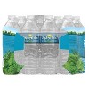 Zephyrhills Brand 100% Natural Spring Water - 24pk/16.9 fl oz Bottles - image 2 of 4