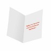 Paper Frenzy Aviator Pilot Santa in an Airplane Christmas Holiday Cards with Red Envelopes - 25 pack - 2 of 3