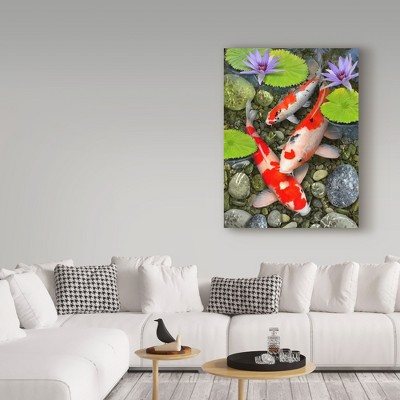 Koi Fish Under Lily Pads Canvas Art, 27" x 33"