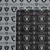 NFL Las Vegas Raiders Home & Away Ultra Soft Blanket - 2pk - 2 of 2