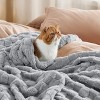 Cozy Comfort by Bedsure | Cute Soft Cozy Checkered 260GSM Throw Blanket for Couch Twin Size White - 4 of 4