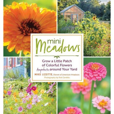 Mini Meadows - by  Mike Lizotte (Paperback)