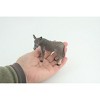 Collectible Wildlife Gifts | Donkey, Hand Painted, Museum Quality, Desert, Rubber Animal,   Burro, Diorama, Toy,  Gift,  4 Inches.  CH846 BB197 - 2 of 4