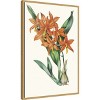 Amanti Art Paxton Tropicals IV by Jennifer Paxton Parker Framed Canvas Wall Art - 3 of 4