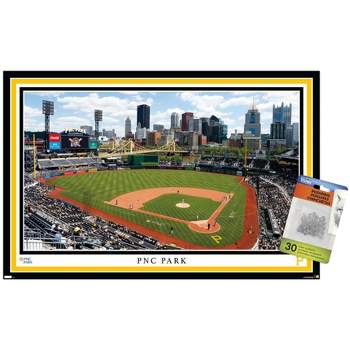 Pittsburgh Pirates 24 x 34.75 Magnetic Framed Team Poster