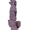 Vickerman Natural Botanicals 18-20" x 9" Eucalyptus Spiral, 100 grams per unit - 3 of 3