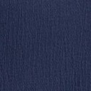 insignia blue