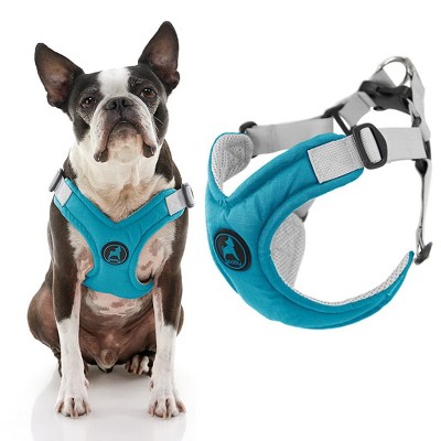 Gooby Memory Foam Step in Harness Turquoise, Small