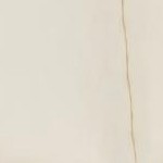 dark slate gray/beige