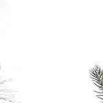 white snowman base 2pcs