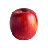 Buy Cosmic Crisp® Apple Trees Online