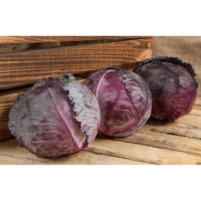 Fresh Organic Red Cabbage - each