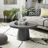 Delfia Coffee Table - Indoor/Outdoor - VNN1014 - Dark Grey - Safavieh - 2 of 4