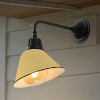 JONATHAN Y Croydon Farmhouse Industrial Indoor/Outdoor Iron LED Gooseneck Arm Outdoor Sconce - 2 of 4