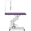 UbMelt 42.5 Inch Hydraulic Pet Grooming Table with Adjustable Arm and Noose for Medium/Large Dogs - 2 of 4