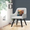 Decorative Throw Pillow_5 by Trademark Fine Art - 3 of 4