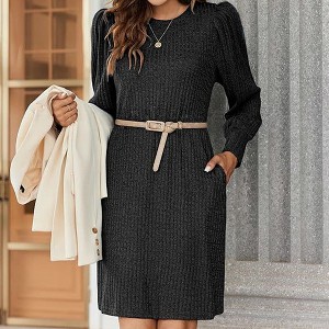Coolmee Women's Knit Dresses Fall fashion Solid Long Puff Sleeve Dresses Casual Round Neck Waisted Mini Dresses With Pockets 2XL Black - 1 of 4