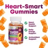 CoQ10 100mg Gummies - 3X Better Absorption, Antioxidant for Heart Health Support & Energy Production, Ultra Coenzyme Q10 Vitamins - 60 Gummies - 4 of 4