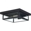 Quoizel Lighting Westover 2 - Light Flush Mount in  Earth Black - 2 of 4