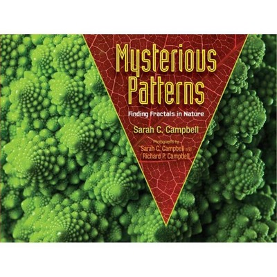 Mysterious Patterns - by  Sarah C Campbell (Hardcover)