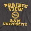 Men's Prairie View A&M University Official Circle Logo T-Shirt - 2 of 4
