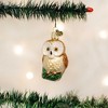 Old World Christmas 2.75 In Christmas Owl Wisdom Celebrate Season Tree Ornaments - 3 of 3