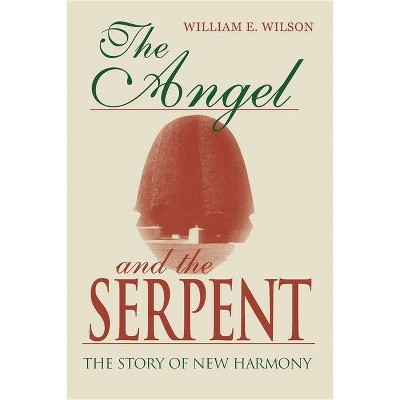 The Angel and the Serpent - (Midland Book) by  William E Wilson (Paperback)