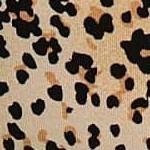 iconic cheetah