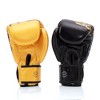 Fairtex BGV26 Harmony Size Premium Muay Thai Boxing Glove - Limited Edition - 2 of 4