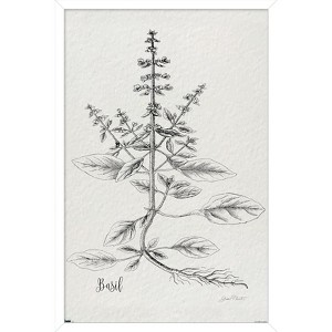 Trends International Jean Plout - Botanical Studies on Paper Basil Framed Wall Poster Prints - 1 of 4